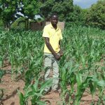 Nachhaltige Landwirtschaft und Solarenergie für Malawi